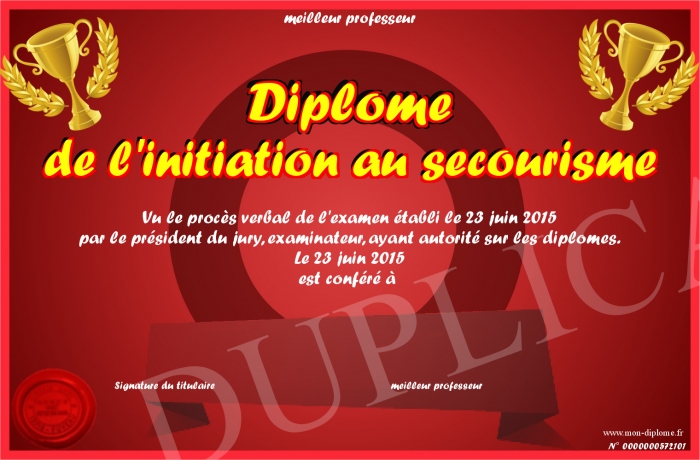 diplome secourisme